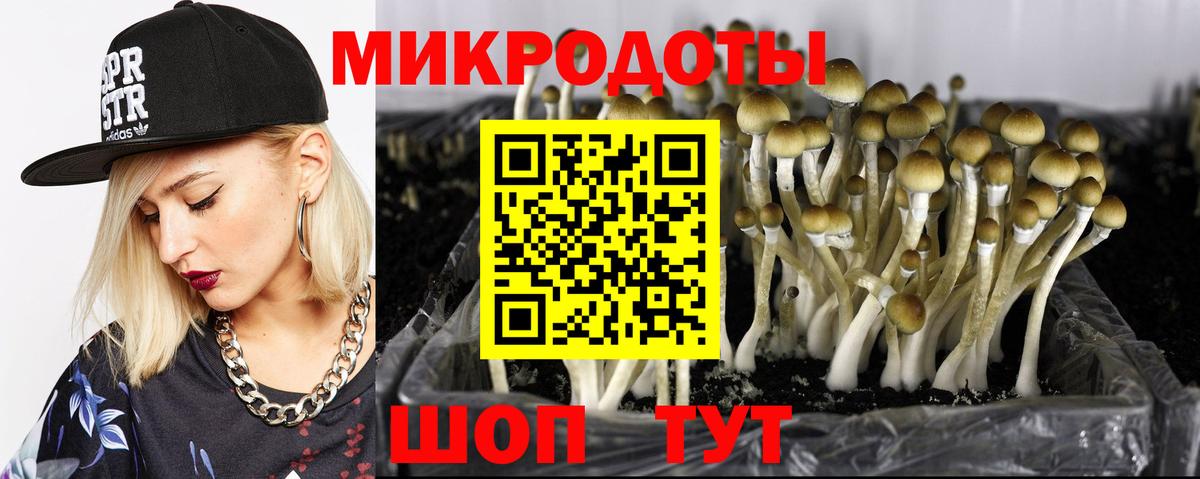 Псилоцибиновые грибы Cubensis  Вход с VPN  наркота  Жуковский 
